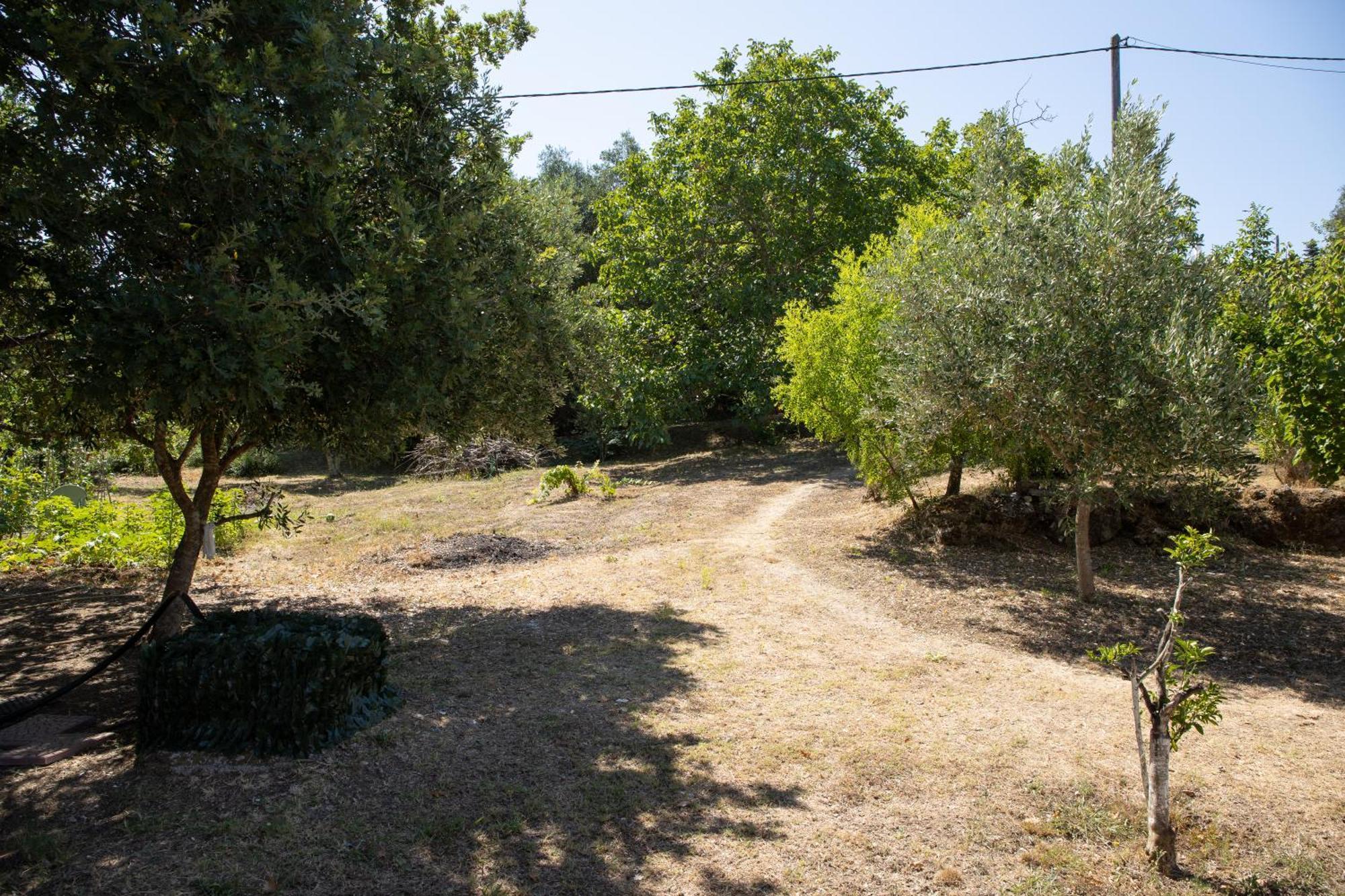 Apartamento Apricus Domum Kato Korakiana Exterior foto