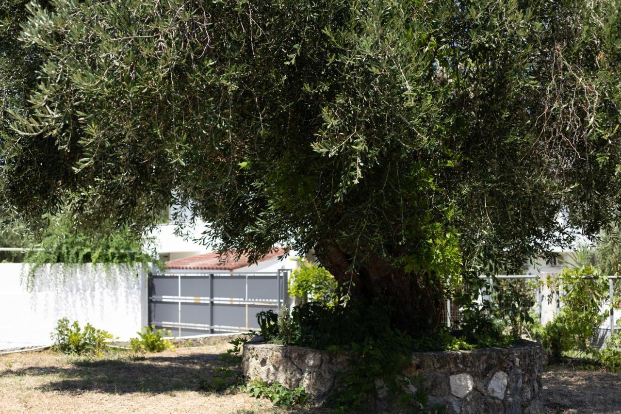 Apartamento Apricus Domum Kato Korakiana Exterior foto