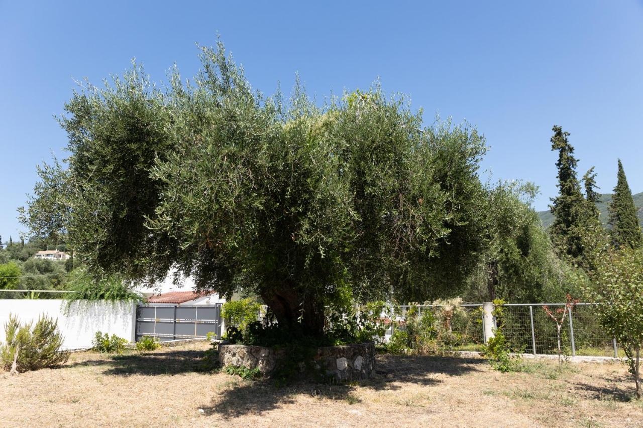 Apartamento Apricus Domum Kato Korakiana Exterior foto